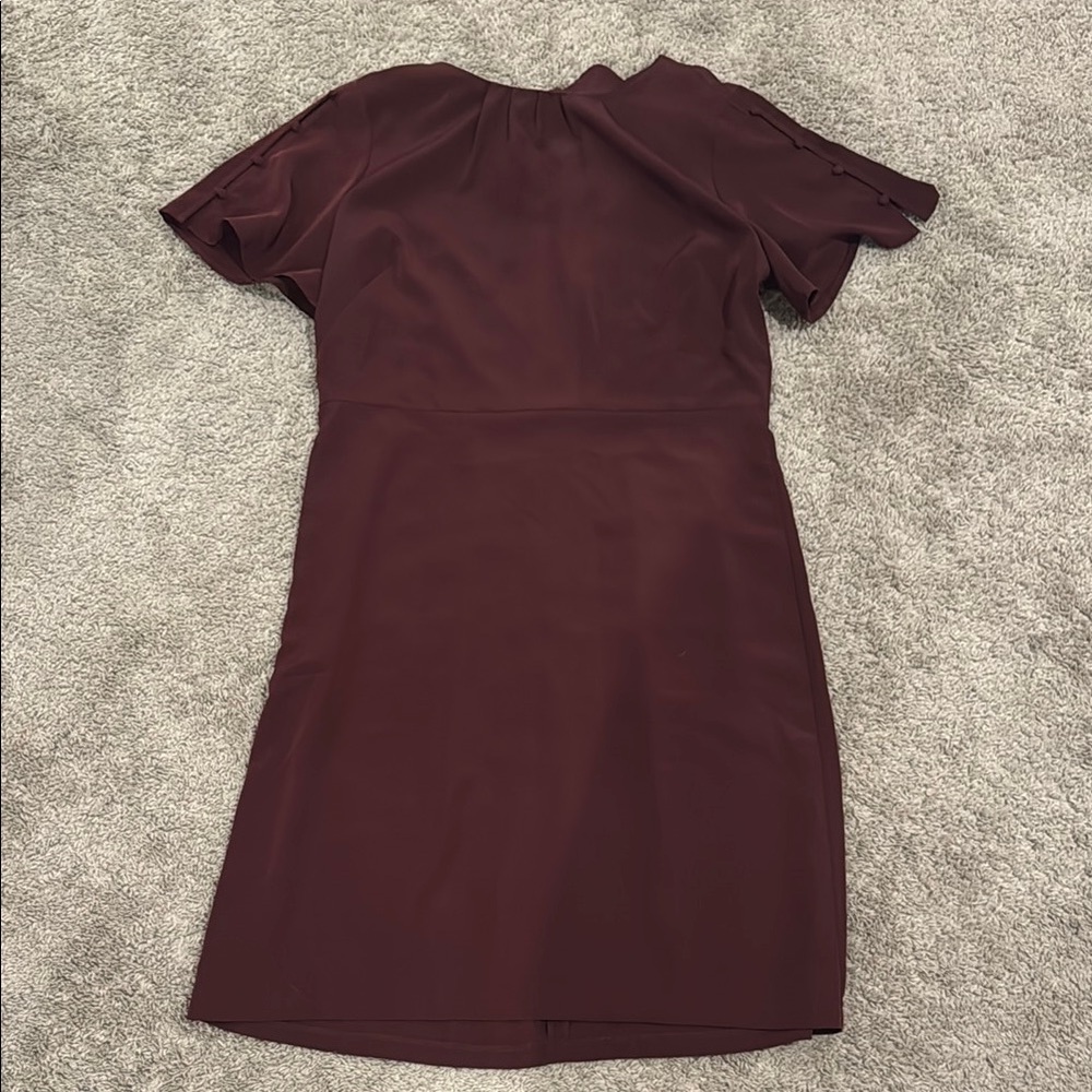 Elegant Burgundy Dress